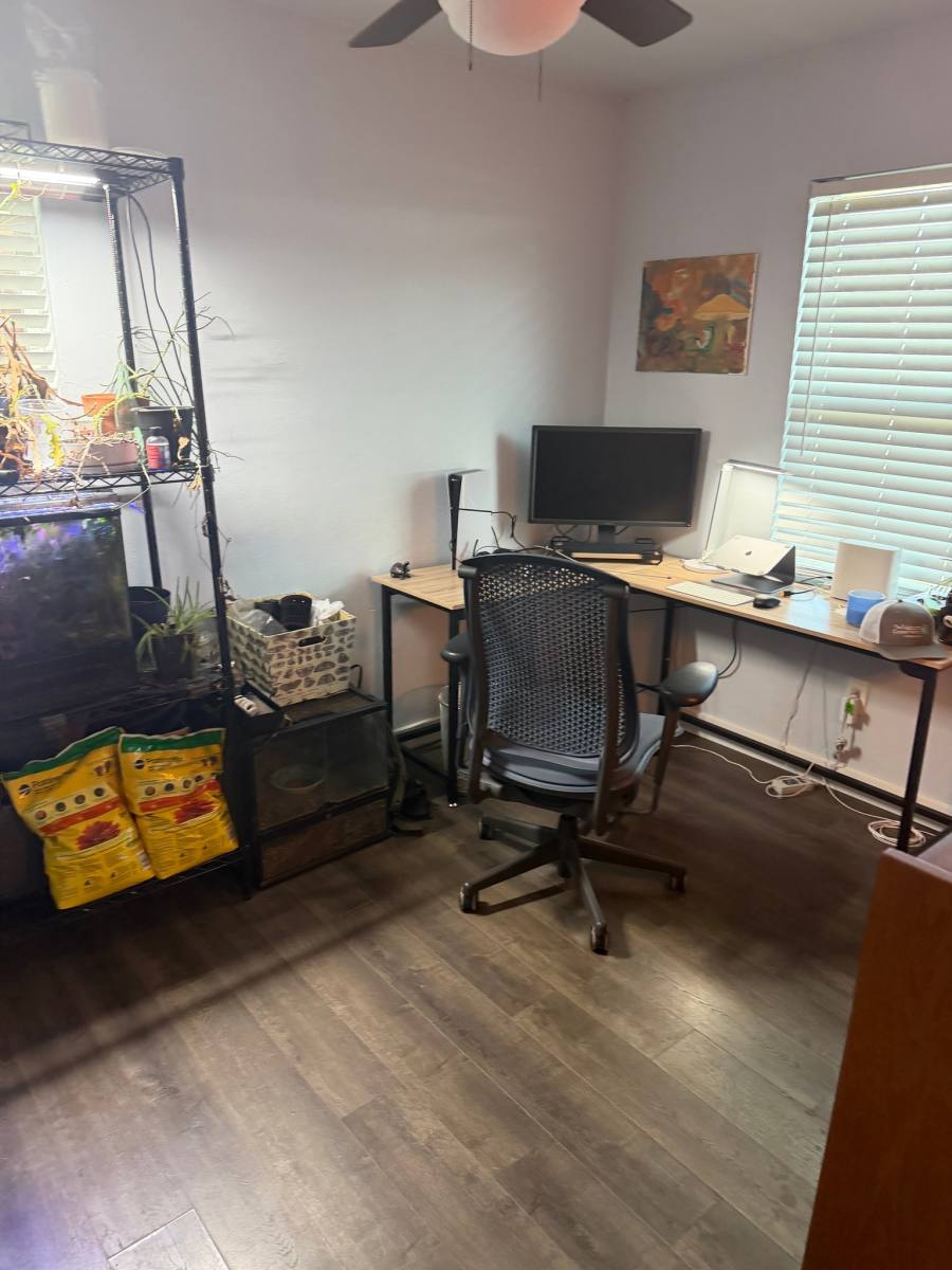 Apartment for rent at 815 E Lindsey, Norman, OK 73071