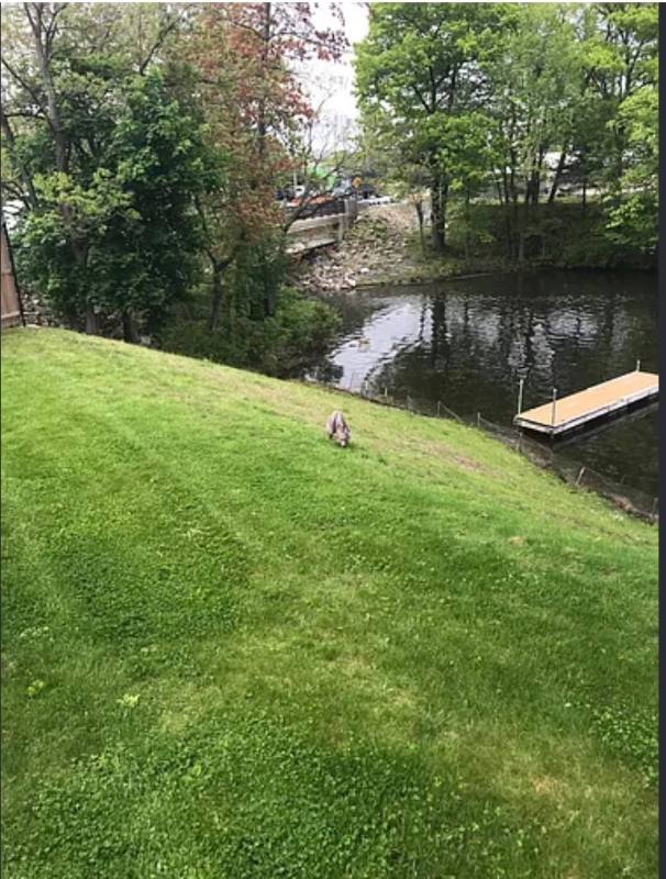 House for rent at 3 Flagg Rd, Shrewsbury, MA 01545