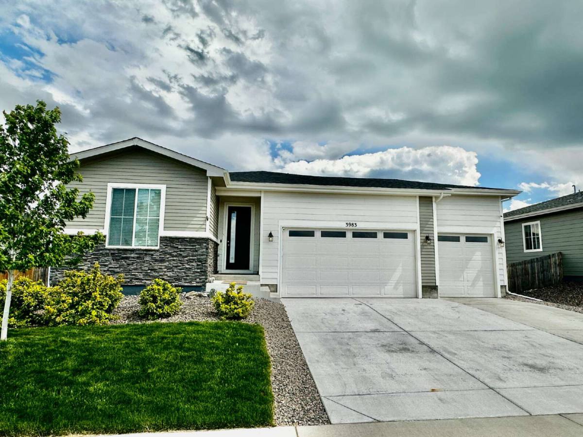 House for rent at 3983 Castle Vista Dr, Castle Rock, CO 80104