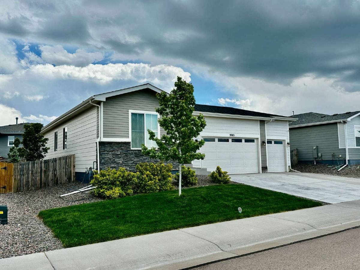 House for rent at 3983 Castle Vista Dr, Castle Rock, CO 80104