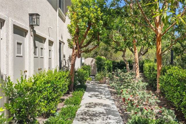 House for rent at 1 Calle Viveza, San Clemente, CA 92673