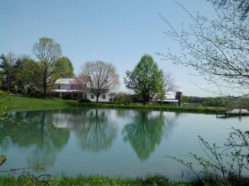 2839 Uniontown Rd, Westminster, MD 21158 - House for Rent - Image 10