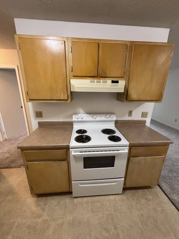 Apartment for rent at 305 Farside Dr #1, Rogersville, TN 37857