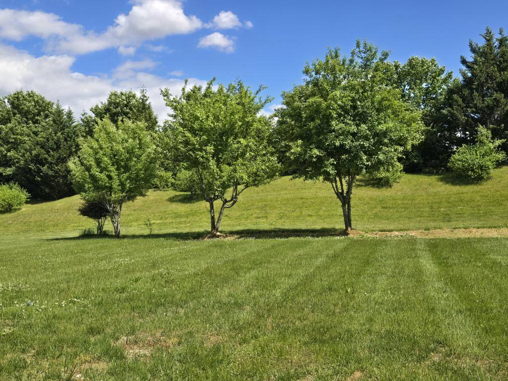 House for rent at 173 Heartleaf Lane, Magnolia, DE 19962