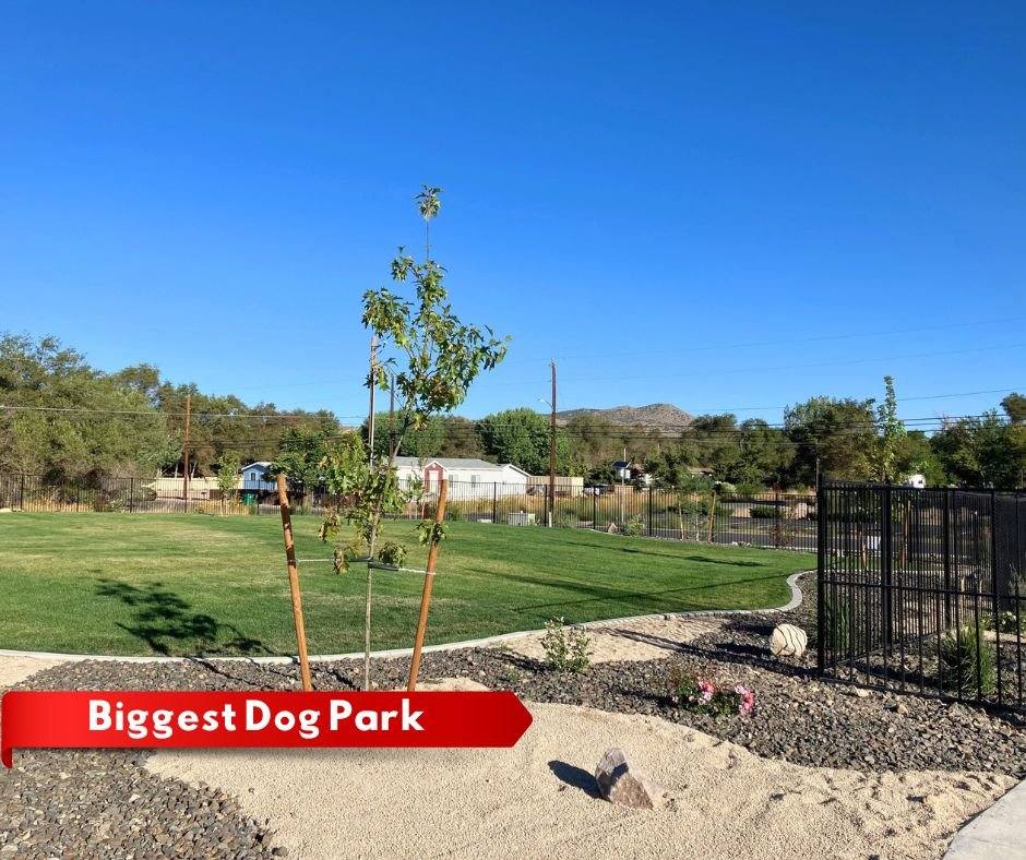 House for rent at 5370 Beverly Lake Dr, Sun Valley, NV 89433