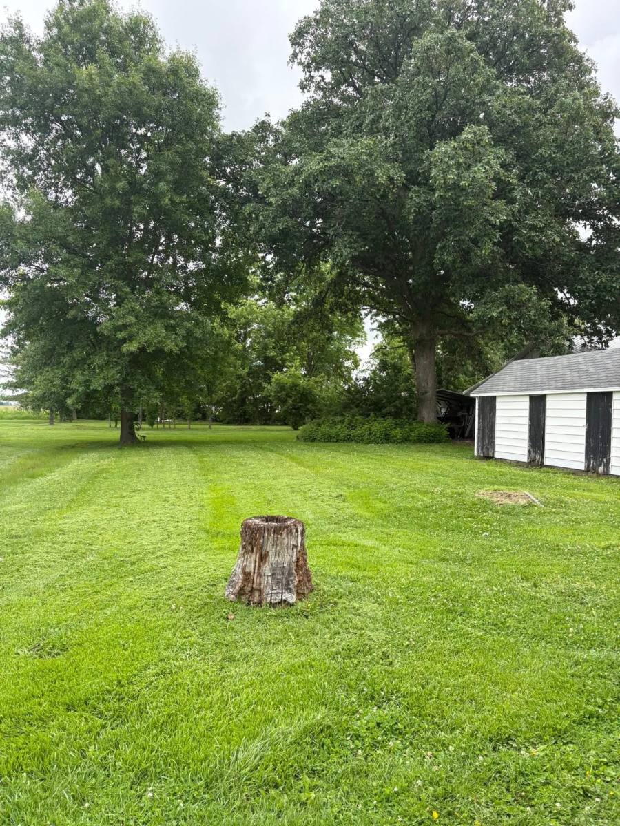 House for rent at 308 W Washington St, Farina, IL 62838