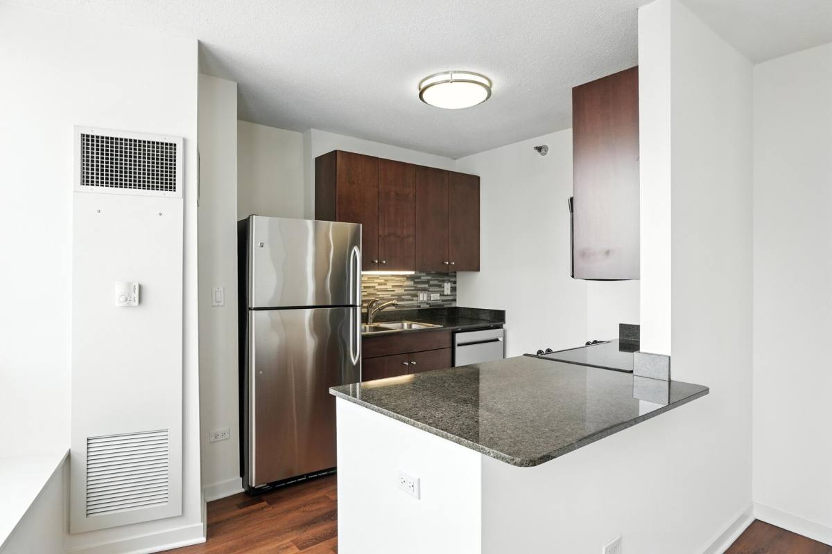 Apartment for rent at 558 N Kingsbury St, Chicago, IL 60654