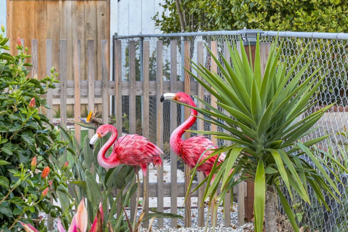 House for rent at 1246 Thermal Ave, San Diego, CA 92154