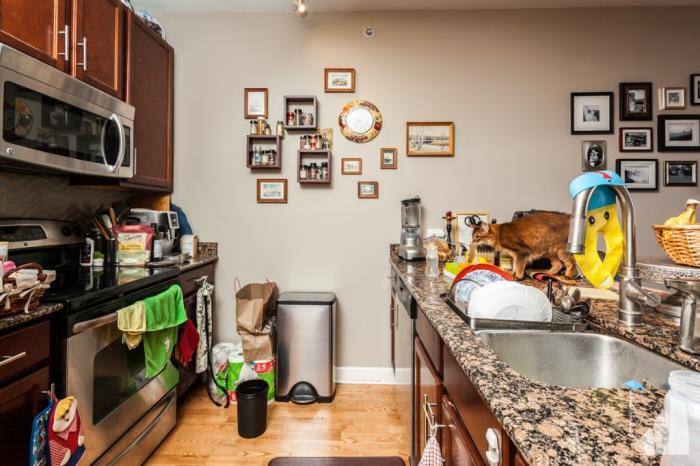 Condo for rent at 100 E 14th St #2608, Chicago, IL 60605