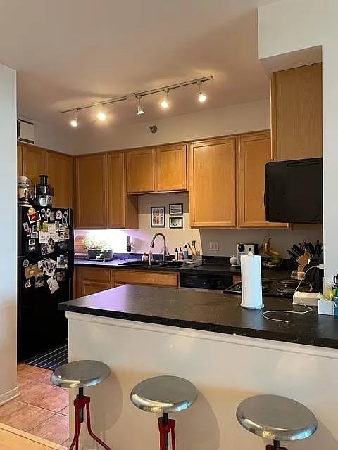 Condo for rent at 435 W Erie St #2006, Chicago, IL 60654