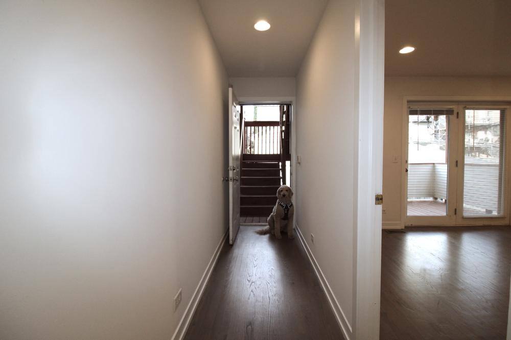 Apartment for rent at 1450 W Walton St #1, Chicago, IL 60642