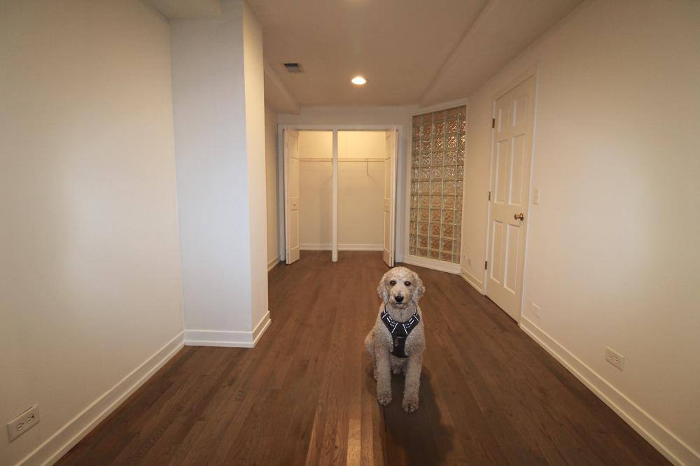 Apartment for rent at 1450 W Walton St #1, Chicago, IL 60642
