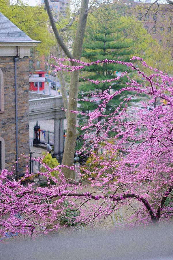 Townhouse for rent at 129 E 10th St #4, New York, NY 10003