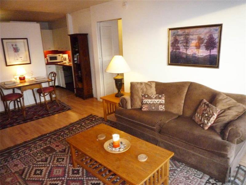 Condo for rent at 29 Concord Ave #511, Cambridge, MA 02138