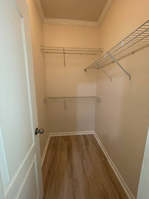 House for rent at 17 Cady Court, Asheville, NC 28803