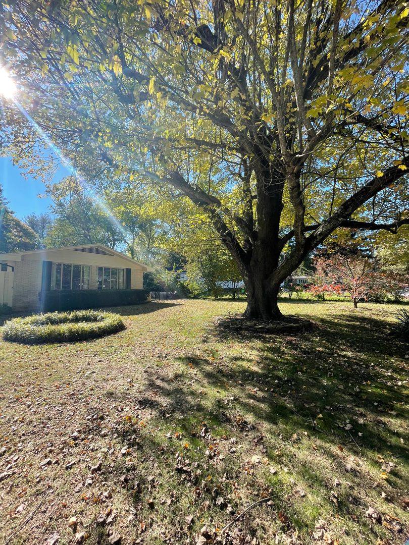 House for rent at 2848 E Eastmoor Dr, Springfield, MO 65804