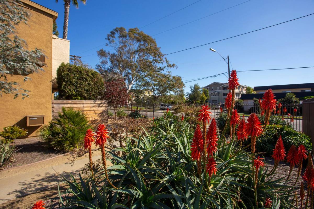 Apartment for rent at 720 E Mission Ave, Escondido, CA 92025