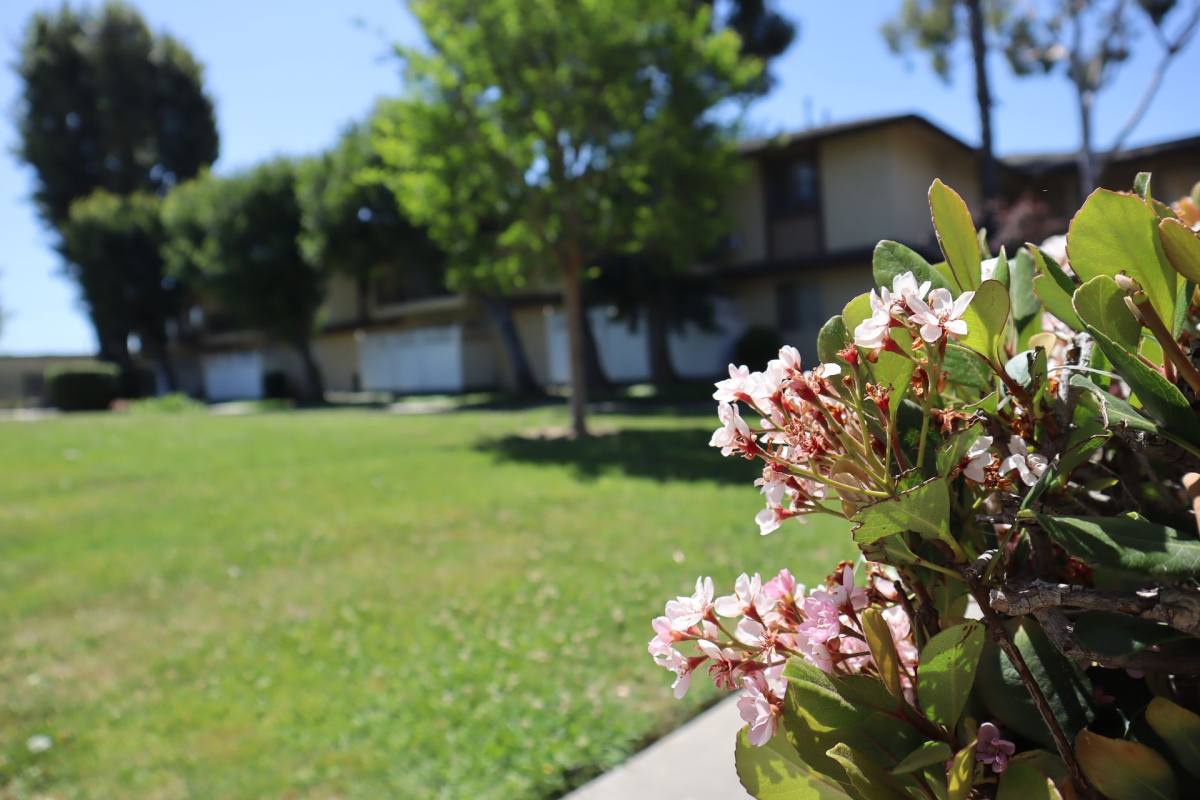 Apartment for rent at 1330 S Sunset Ave, West Covina, CA 91790