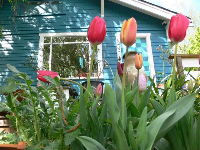 House for rent at 4033 Eastern Ave N, Seattle, WA 98103