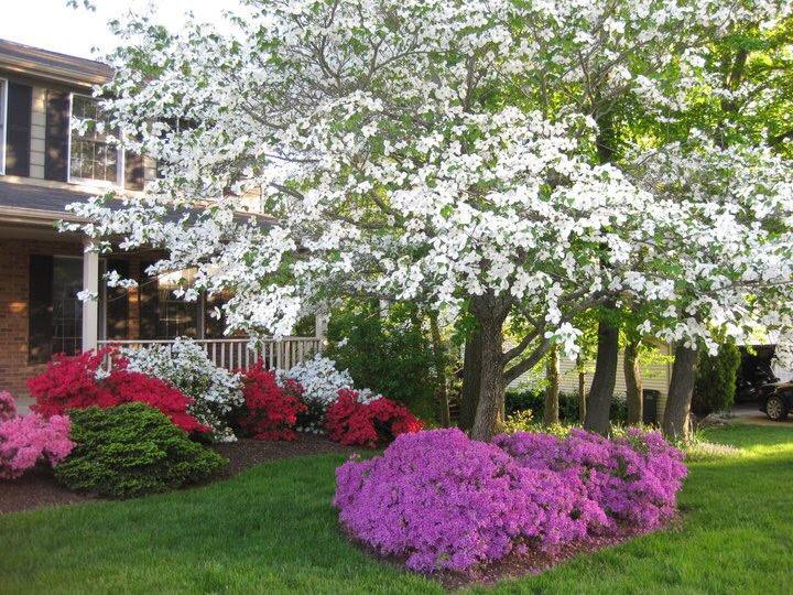 House for rent at 6913 Courageous Circle, Burke, VA 22015