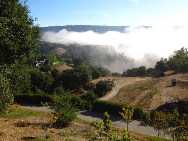 House for rent at 380 Whippet Run, Watsonville, CA 95076