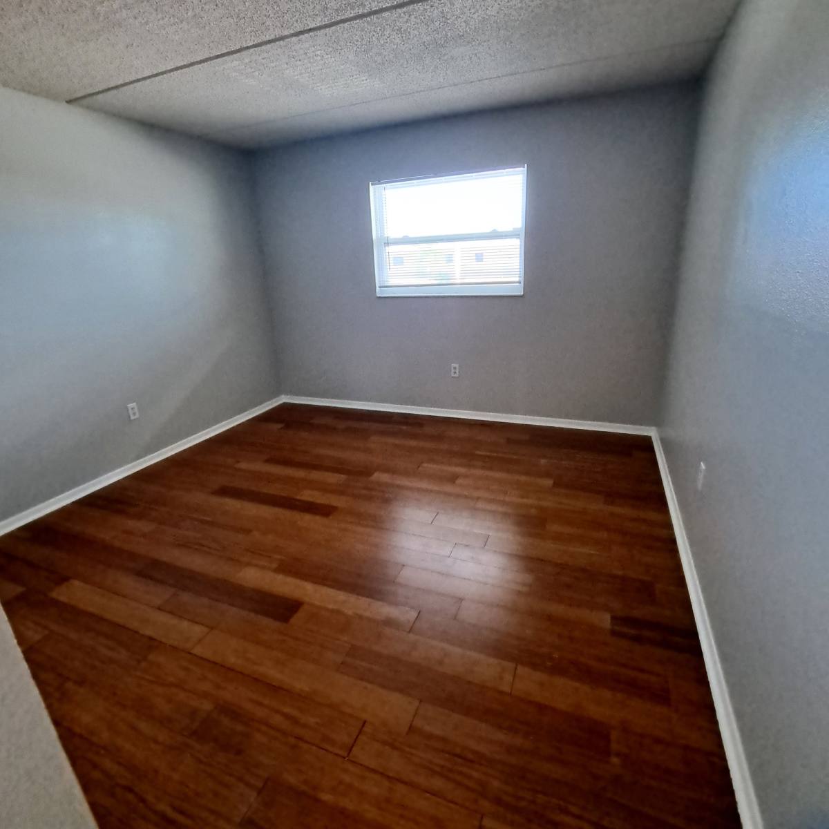 Condo for rent at 12300 Park Blvd #209, Saint Petersburg, FL 33704
