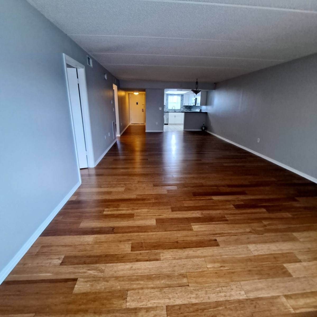 Condo for rent at 12300 Park Blvd #209, Saint Petersburg, FL 33704