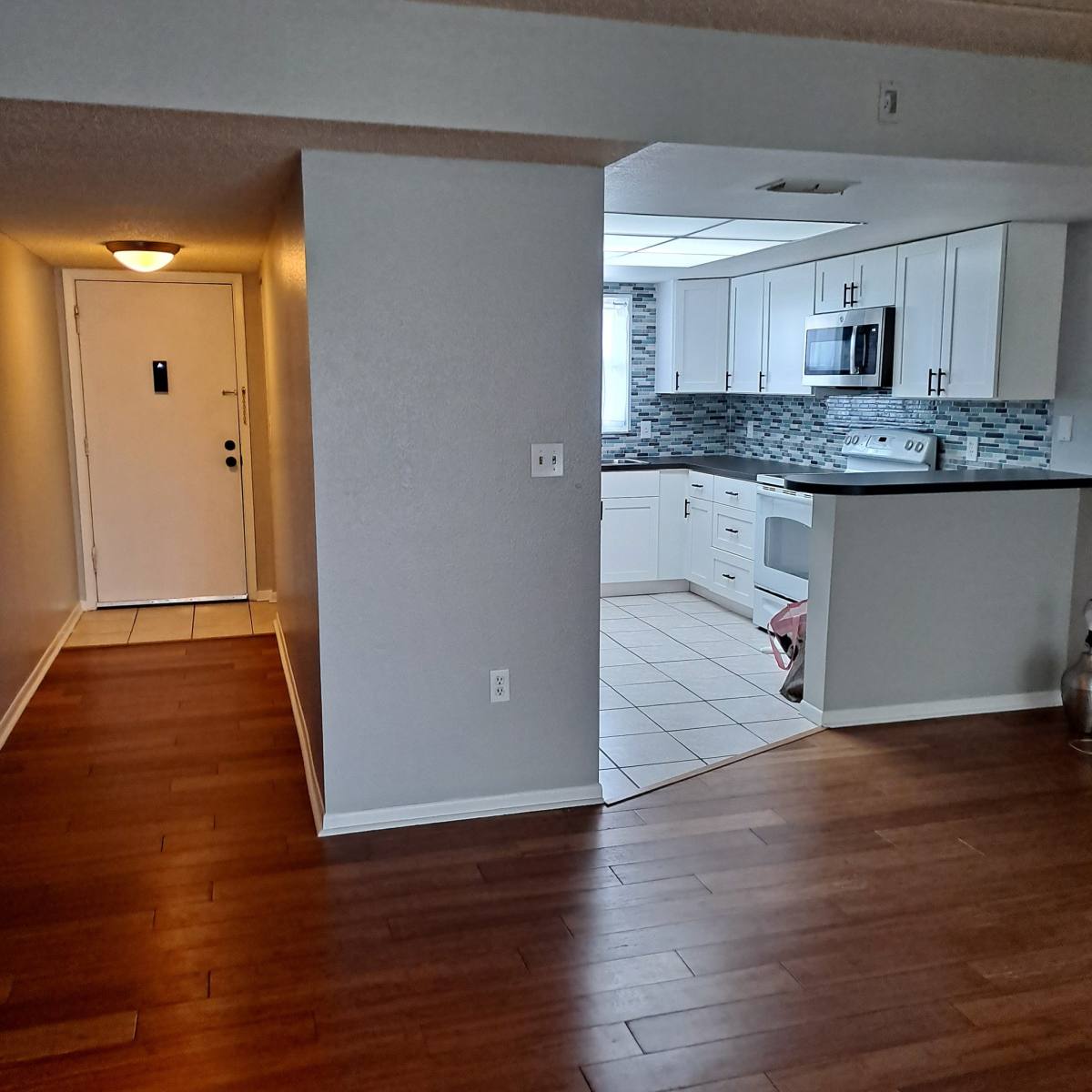 Condo for rent at 12300 Park Blvd #209, Saint Petersburg, FL 33704
