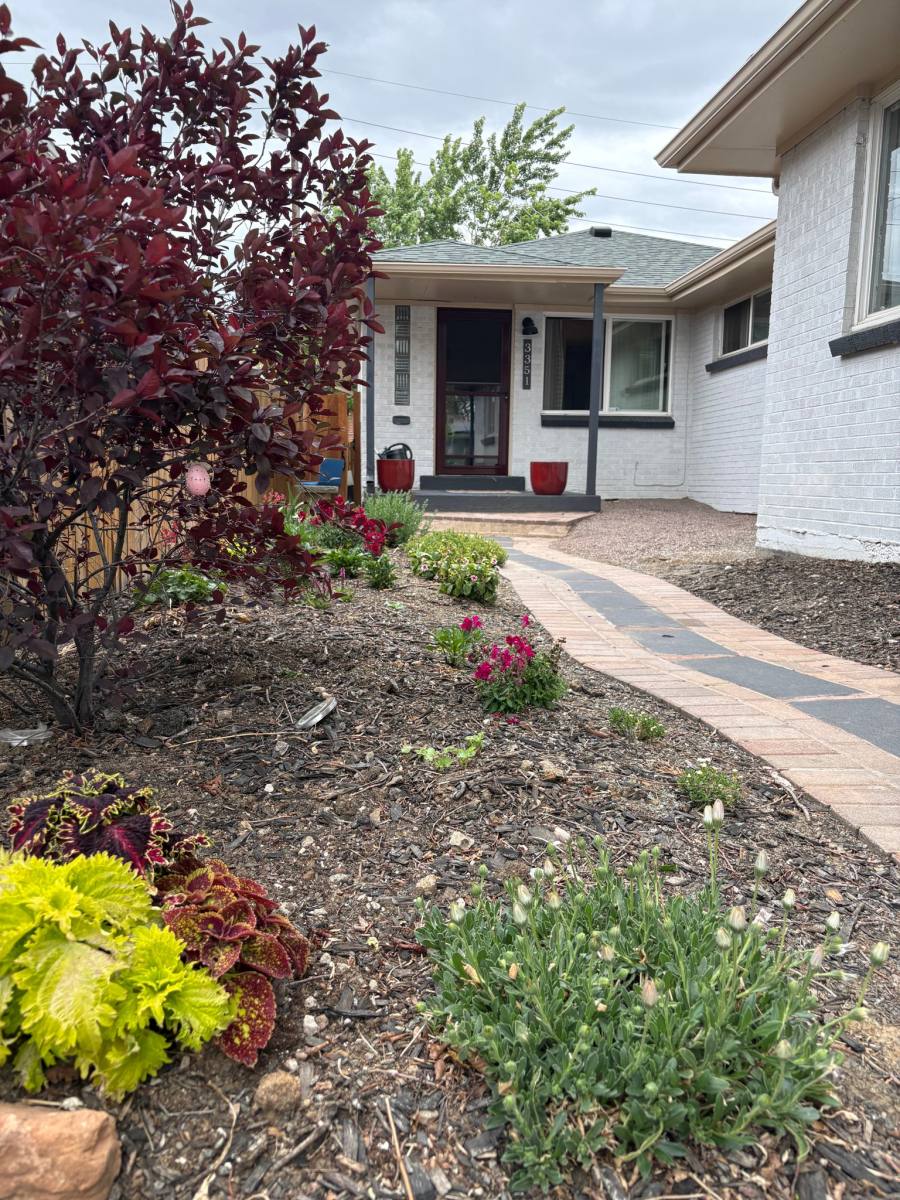 Apartment for rent at 3351 Jasmine St #1, Denver, CO 80207