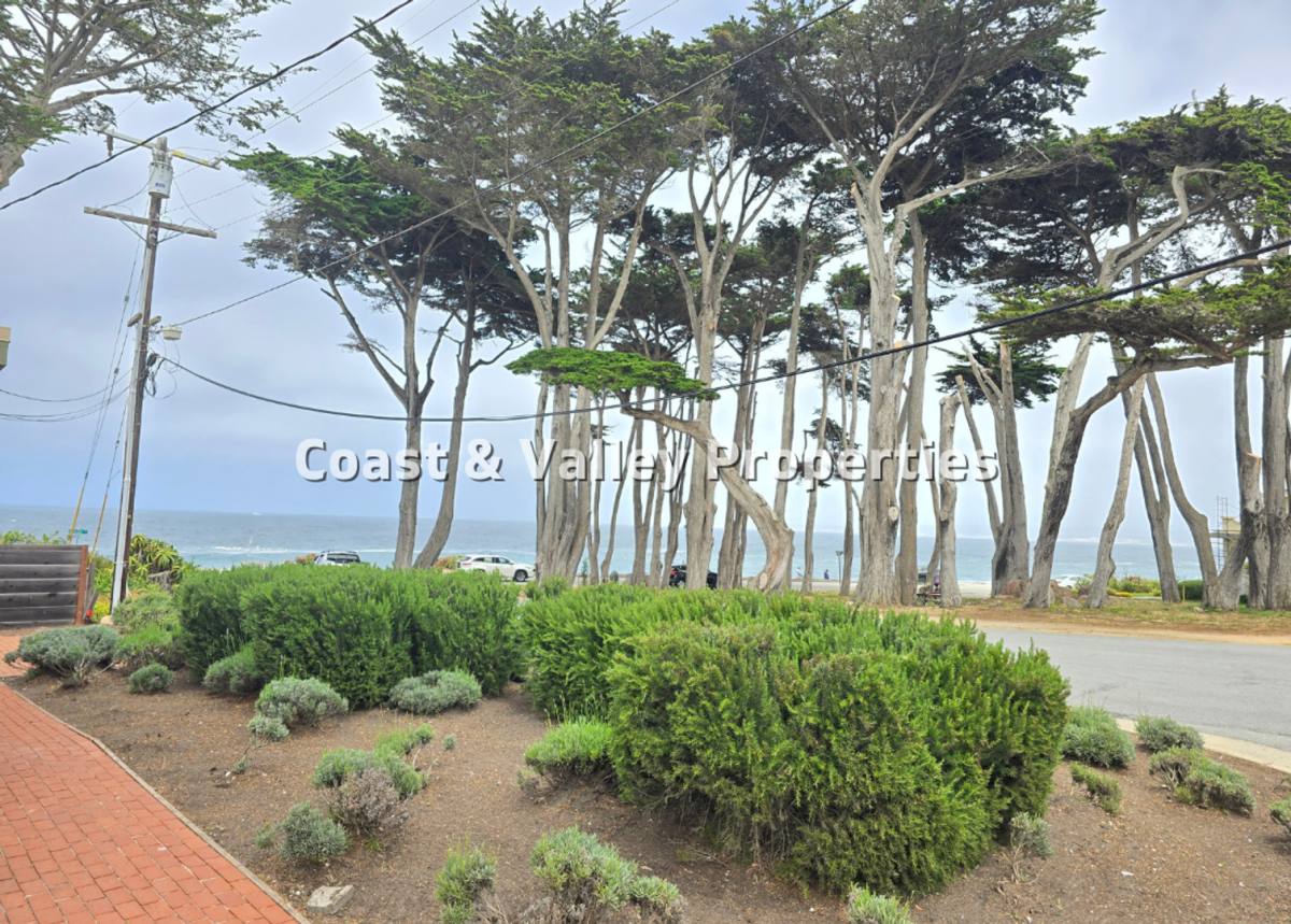 House for rent at 1117 Surf Ave, Pacific Grove, CA 93950