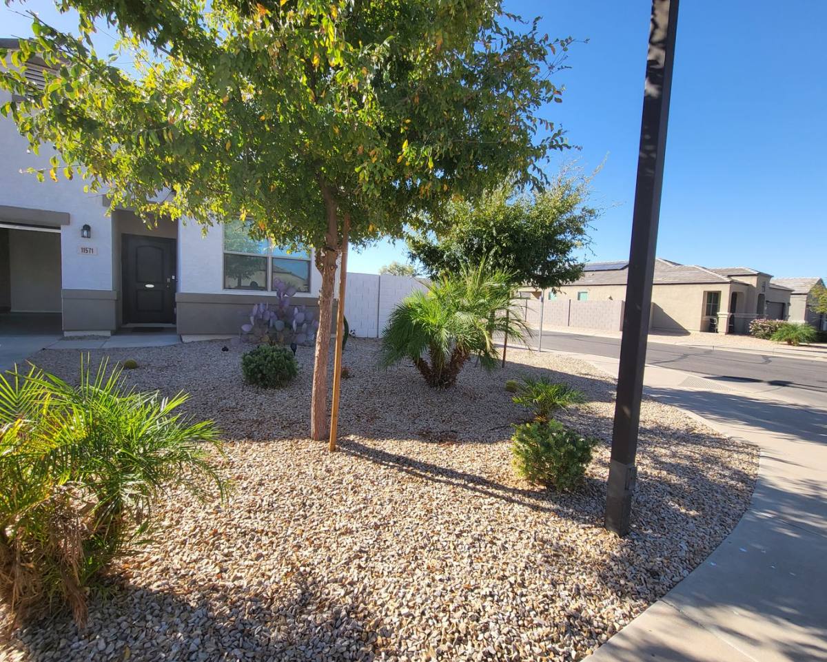 House for rent at 11571 E Verbina Lane, Florence, AZ 85132