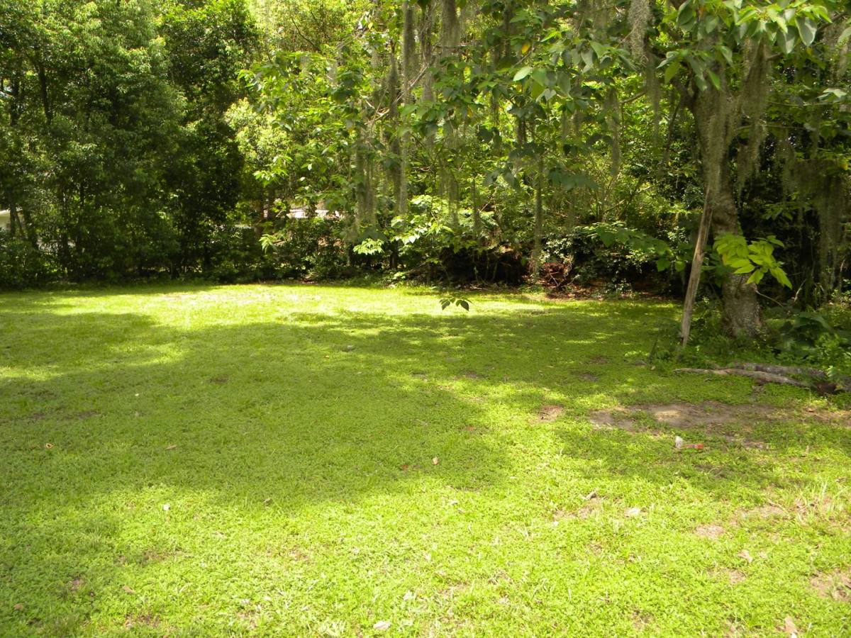 1016 NE 8th Ave, Ocala, FL 34470 - House for Rent - Image 5