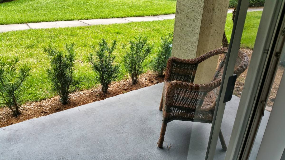 Condo for rent at 12500 Crest Springs Lane, Orlando, FL 32828
