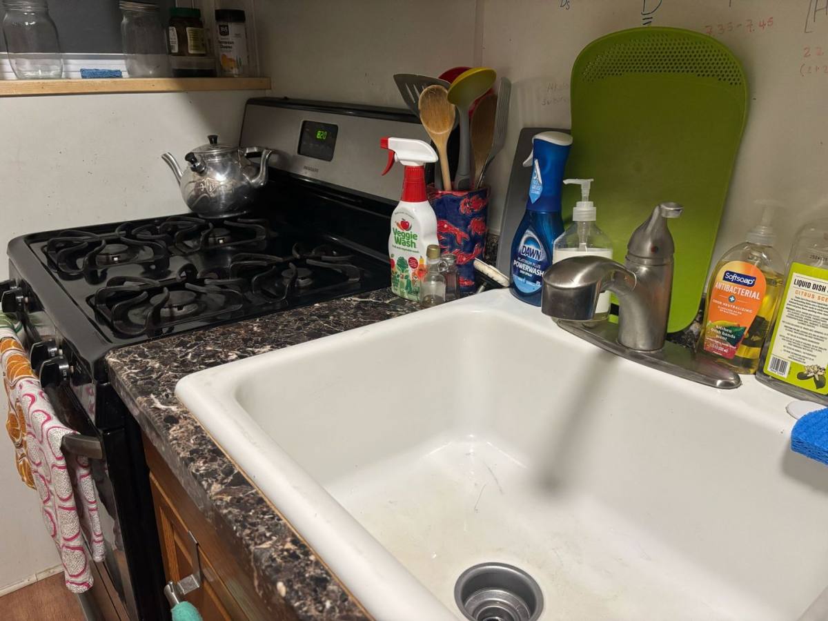 Apartment for rent at 968 State St #B8, New Haven, CT 06511