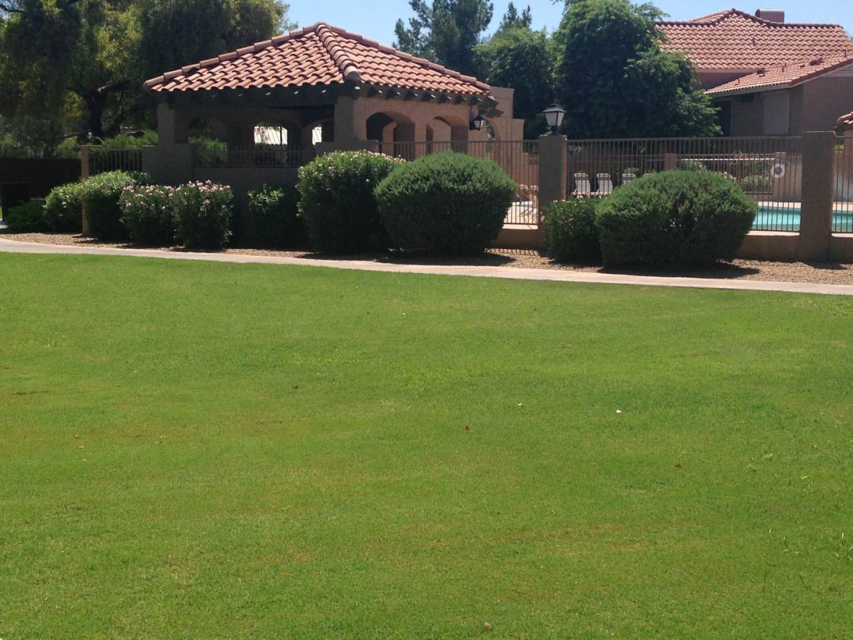 Townhouse for rent at 3491 N Arizona Ave, Chandler, AZ 85225