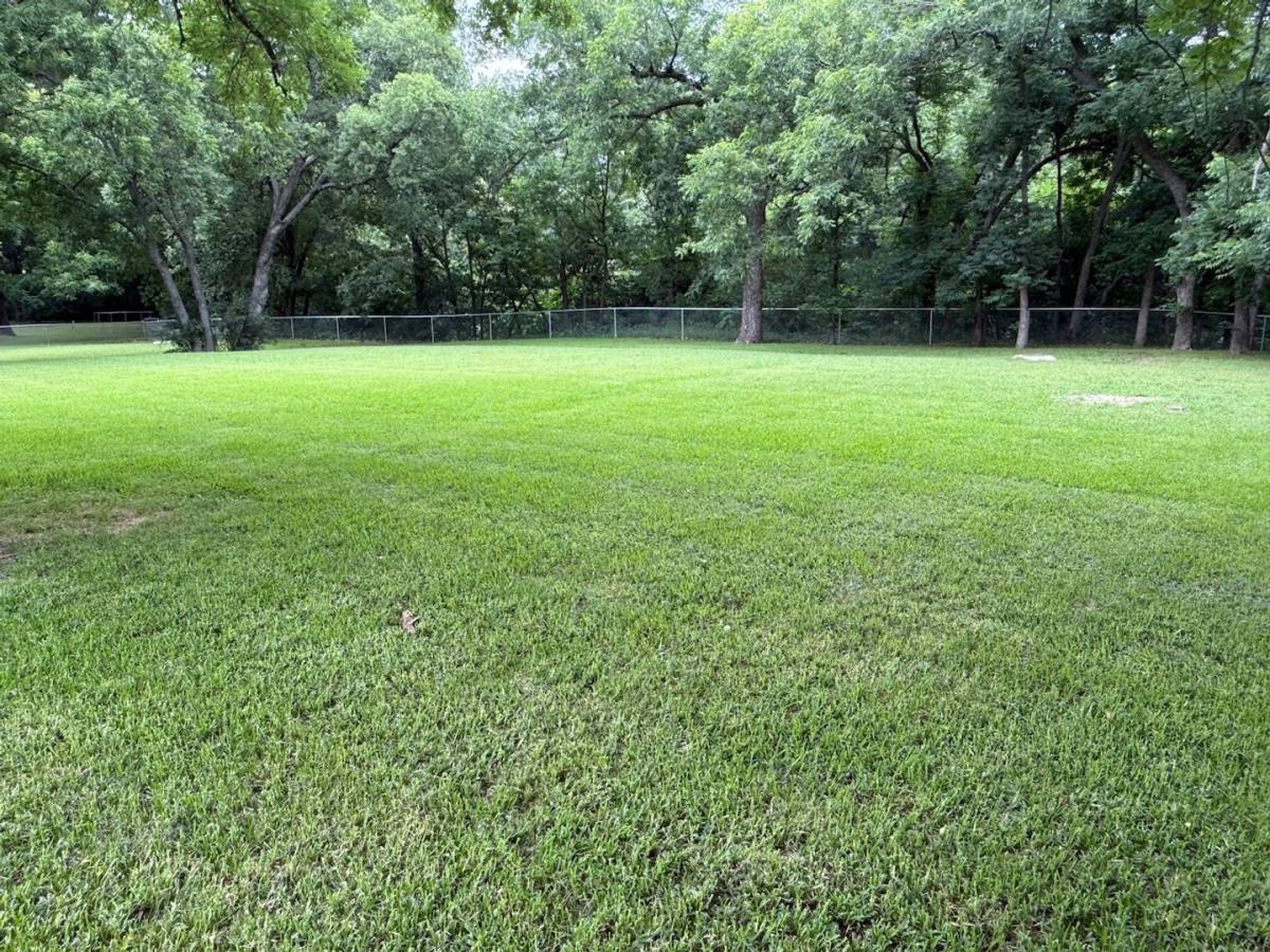 House for rent at 1601 Skyline Dr, Sherman, TX 75092