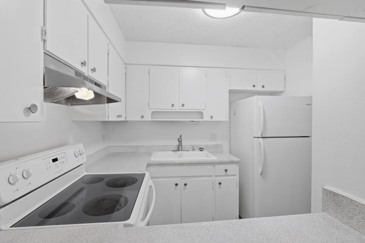 404 E Park Ave, San Antonio, TX 78212 - Apartment for Rent - Image 7