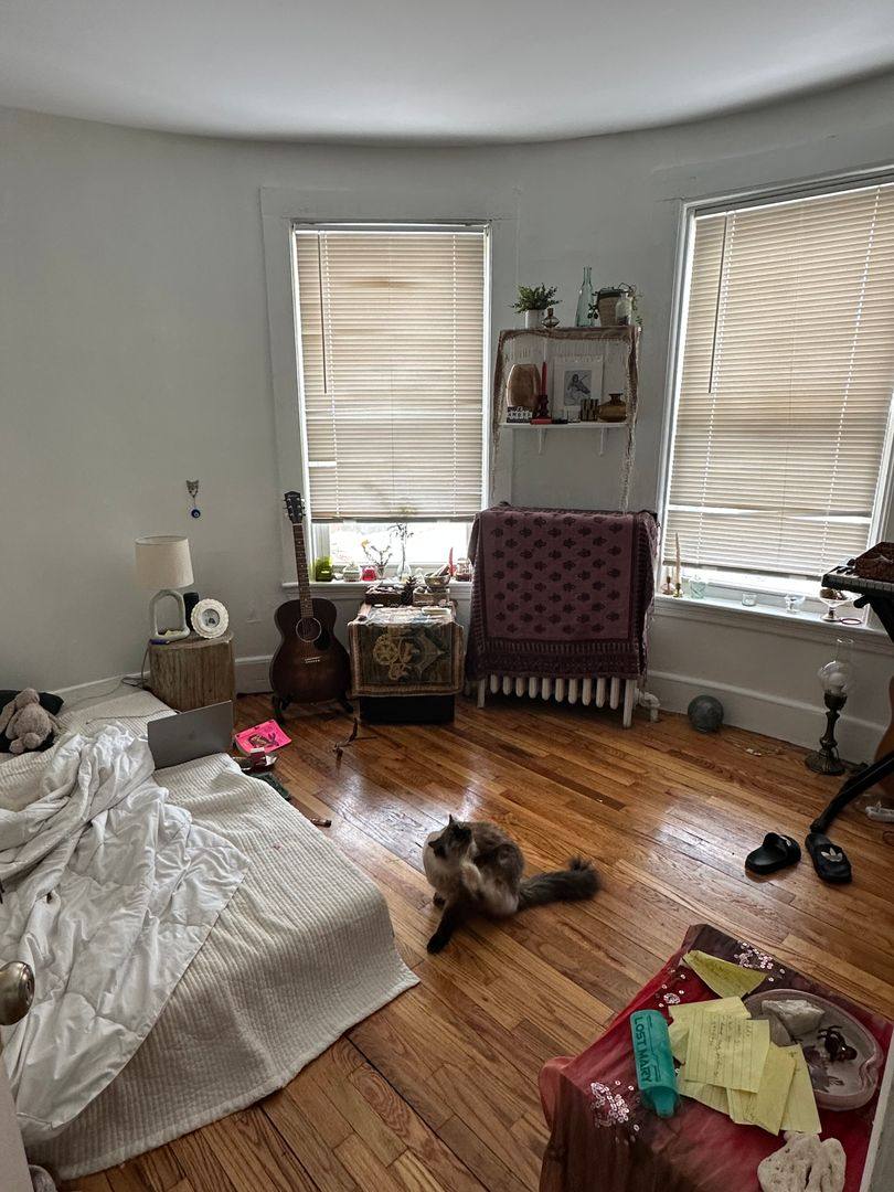 House for rent at 8 Greylock Rd #1, Allston, MA 02134