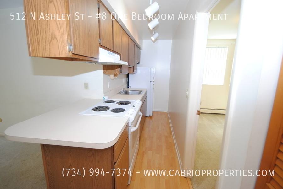 Apartment for rent at 512 N Ashley St, Ann Arbor, MI 48103