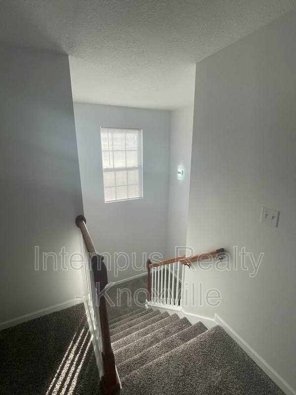 House for rent at 3119 Pinex Lane, Knoxville, TN 37921