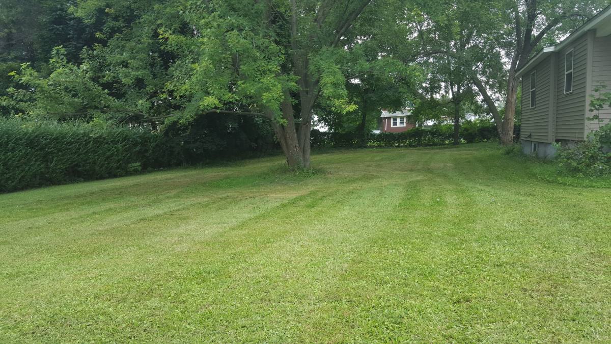 House for rent at 113 Cleveland St, Elmira, NY 14903