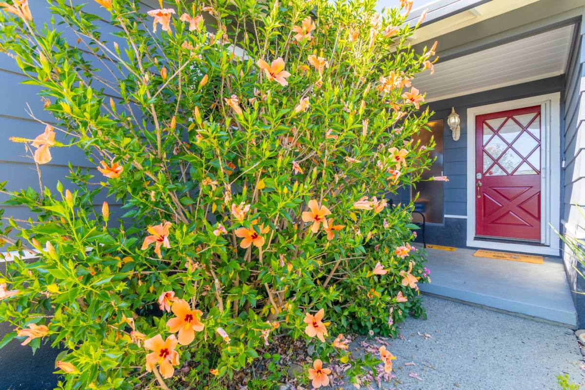House for rent at 40 Cushing Ave, San Rafael, CA 94903