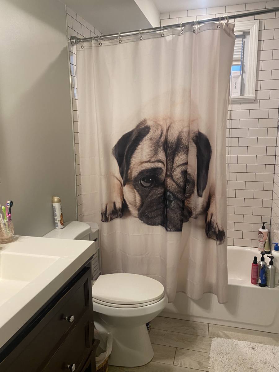 Apartment for rent at 10 Taft St #1, Dorchester, MA 02125