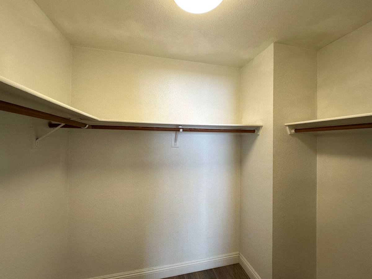 House for rent at 3136 Centavo Dr, Las Vegas, NV 89117