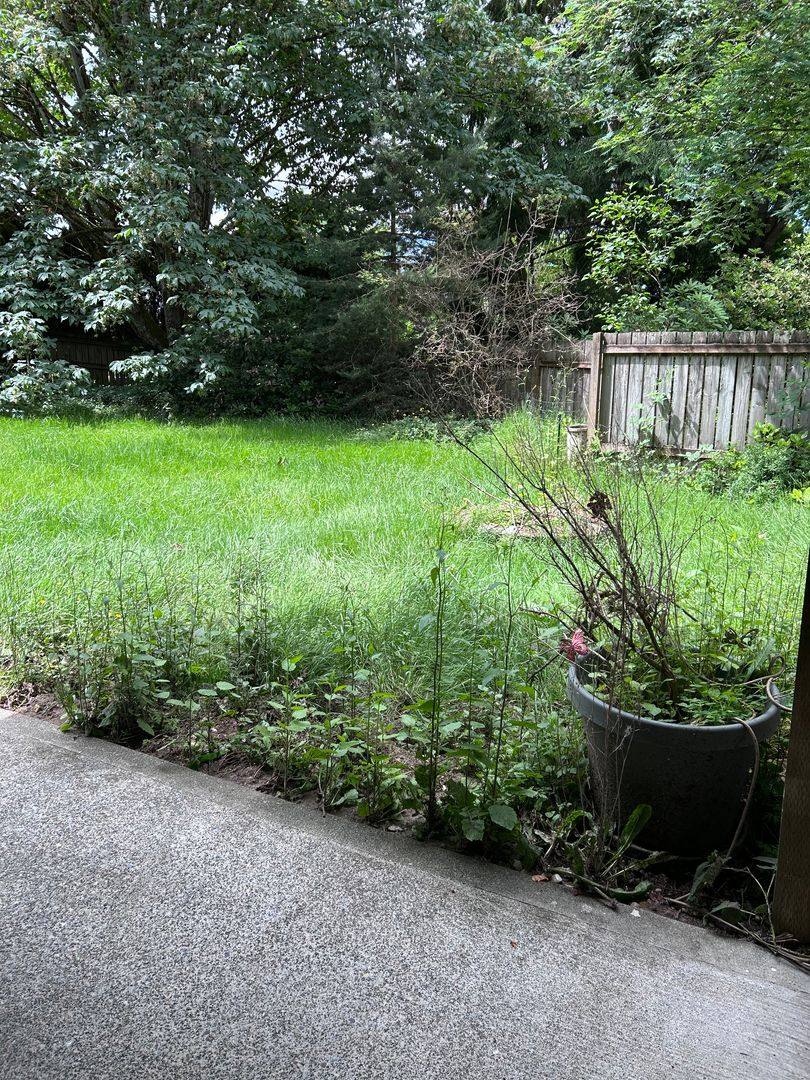 House for rent at 17710 153rd Ave SE, Renton, WA 98058