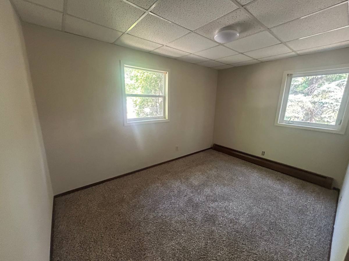 Apartment for rent at 312 N Lake Ave #3, Battle Lake, MN 56515