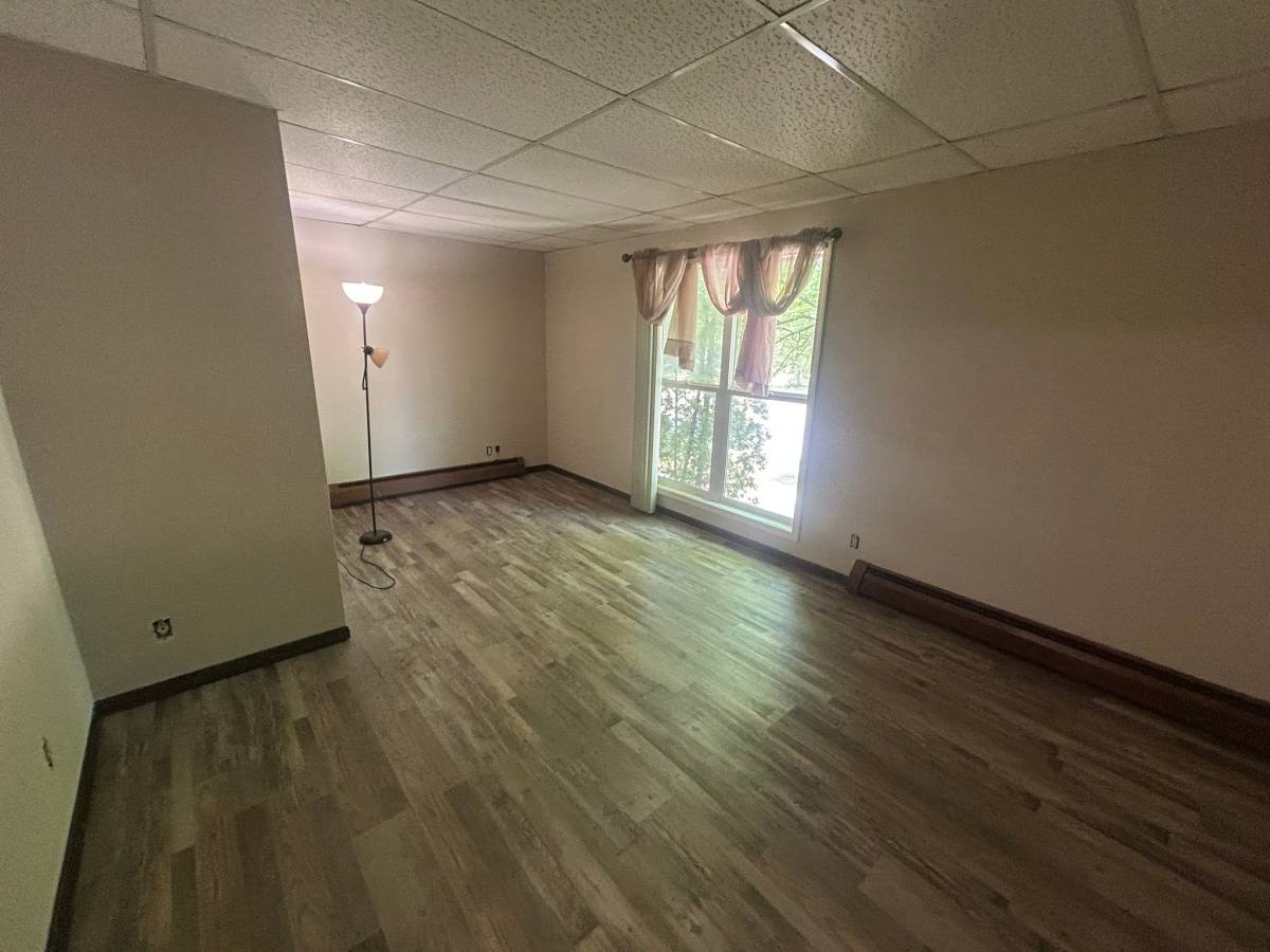 Apartment for rent at 312 N Lake Ave #3, Battle Lake, MN 56515