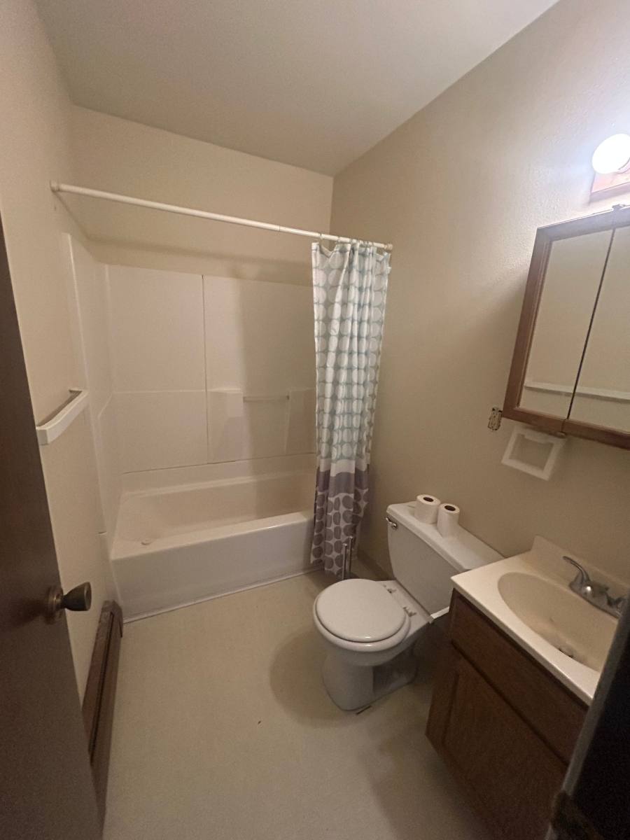 Apartment for rent at 312 N Lake Ave #3, Battle Lake, MN 56515