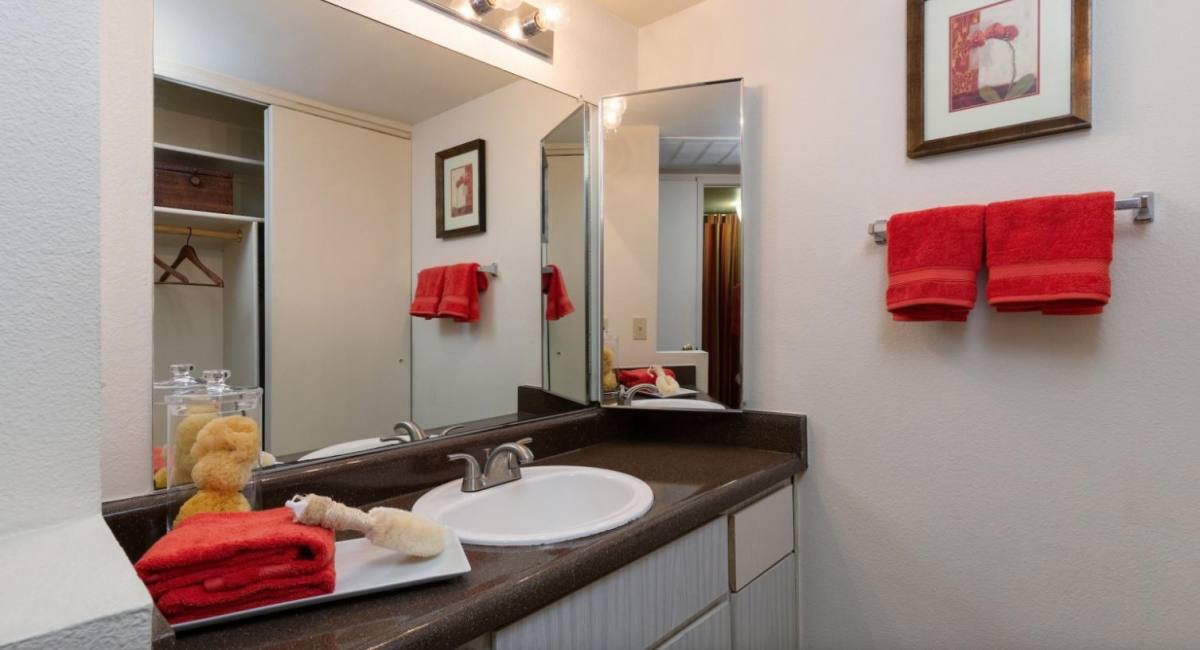 Apartment for rent at Olive Tree, 6201 W Olive Ave, Glendale, AZ 85302