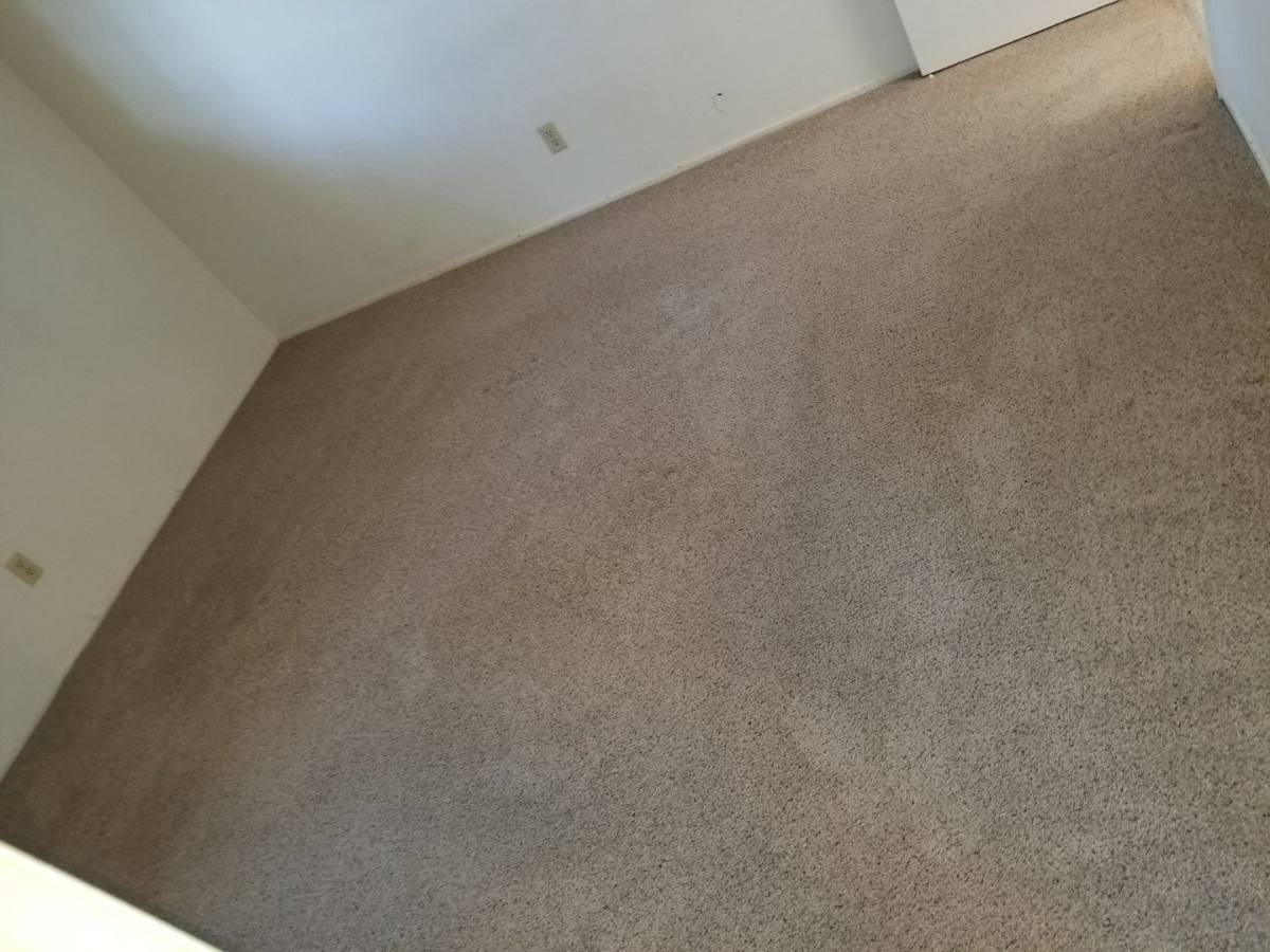 House for rent at 2312 Temple Dr, Davis, CA 95618